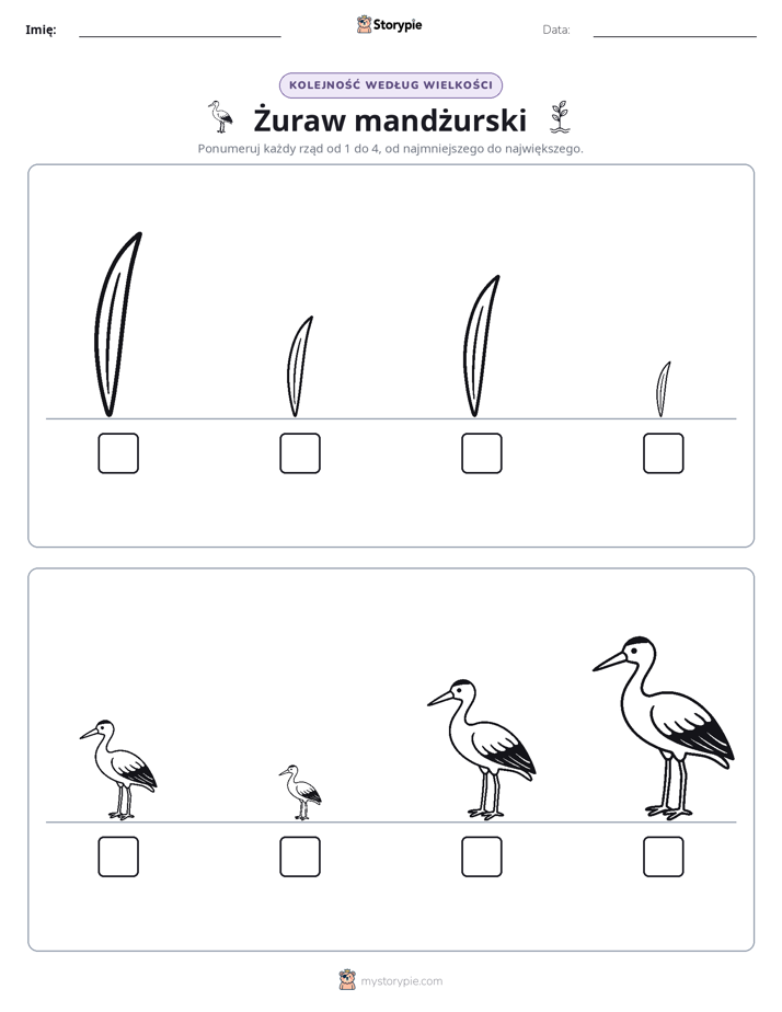 Porządek rozmiarów