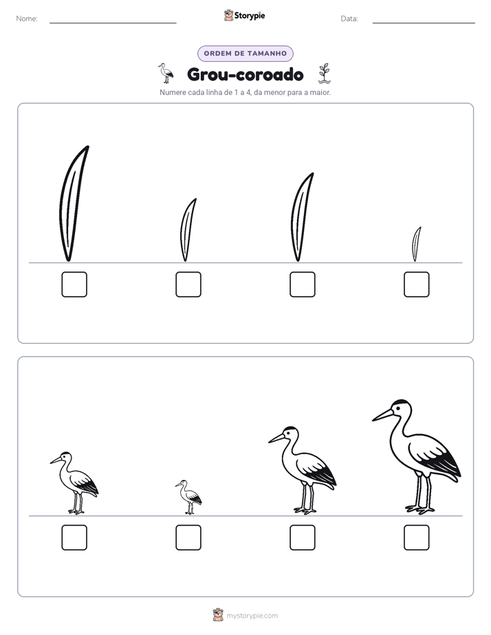 Ordem de Tamanho