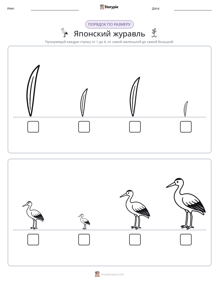 Размеры в порядке