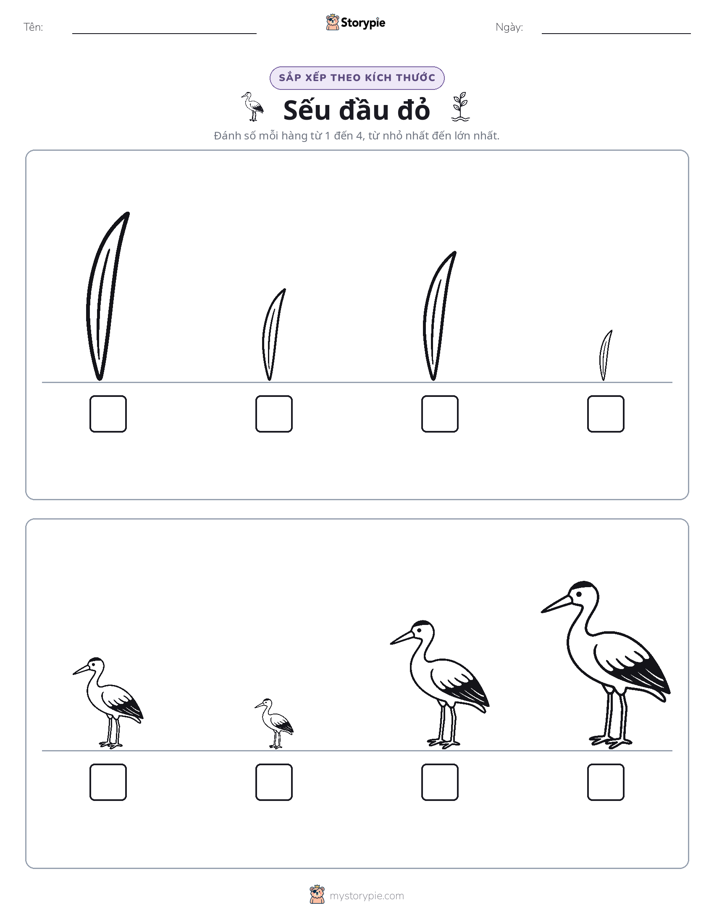 Thứ Tự Kích Thước