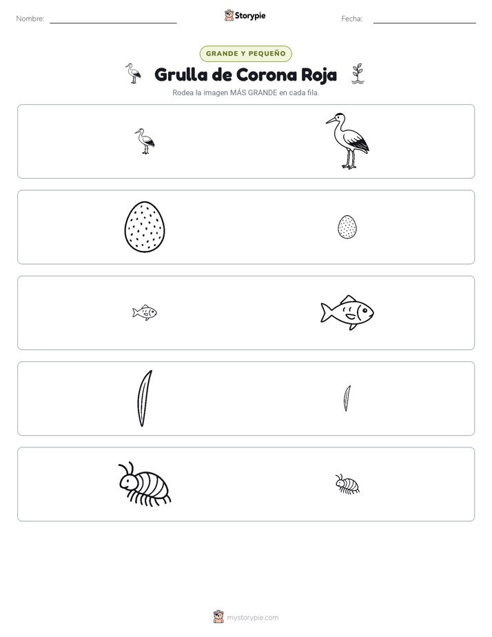Clasificación