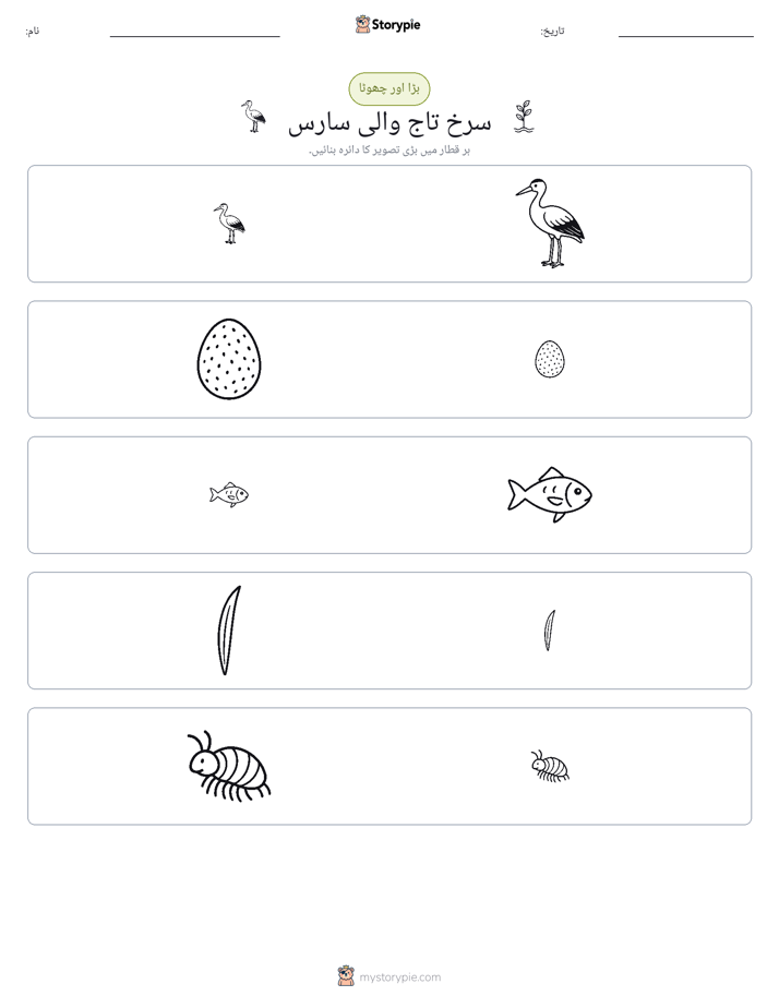 ترتیب دینا