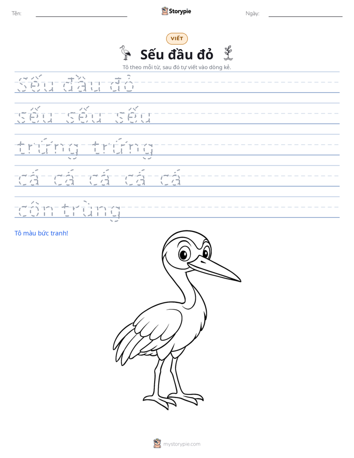 Luyện Viết