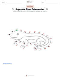 Japanese Giant Salamander printable worksheet preview