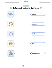 Aperçu de la feuille de travail imprimable Salamandre géante du Japon
