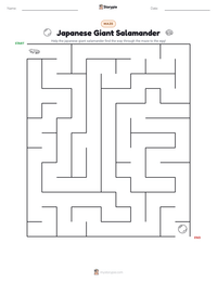 Japanese Giant Salamander printable worksheet preview