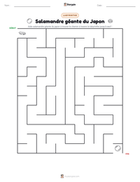 Aperçu de la feuille de travail imprimable Salamandre géante du Japon