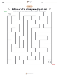 Podgląd drukowalnego arkusza ćwiczeń Salamandra olbrzymia japońska