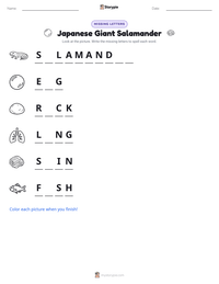 Japanese Giant Salamander printable worksheet preview