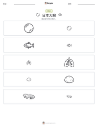 日本大鯢 可打印工作表预览