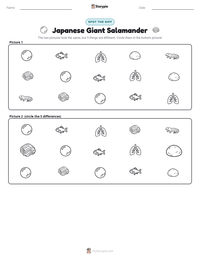 Japanese Giant Salamander printable worksheet preview