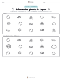 Aperçu de la feuille de travail imprimable Salamandre géante du Japon