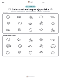 Podgląd drukowalnego arkusza ćwiczeń Salamandra olbrzymia japońska