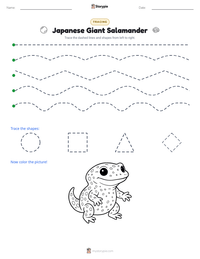 Japanese Giant Salamander printable worksheet preview