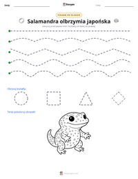 Podgląd drukowalnego arkusza ćwiczeń Salamandra olbrzymia japońska