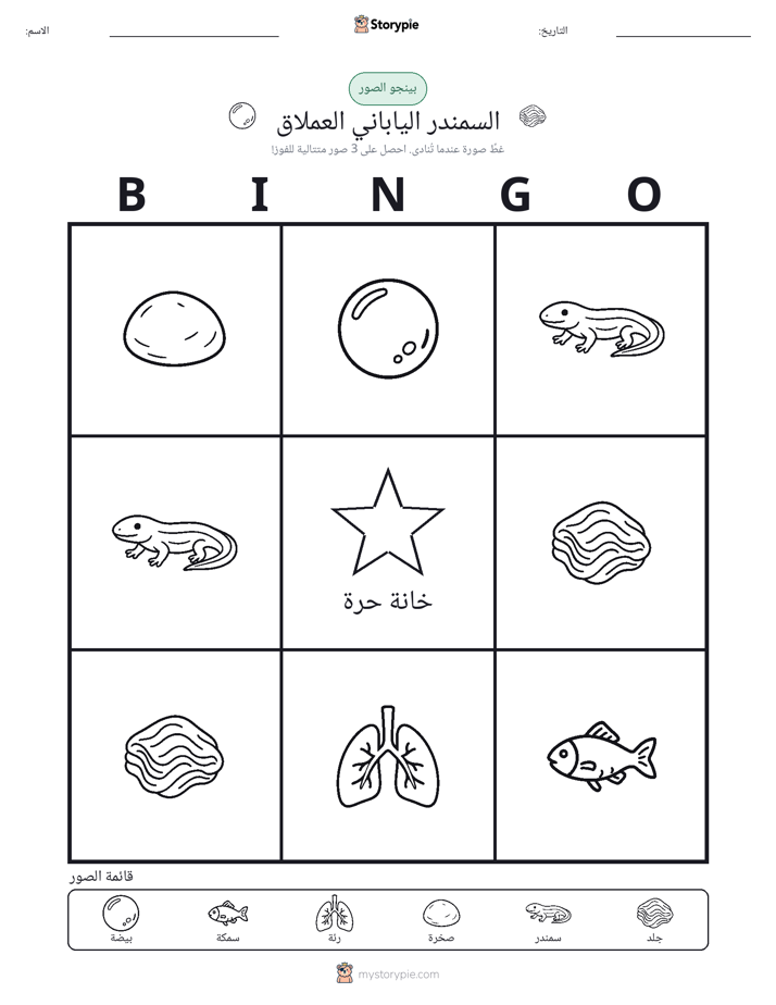 بينغو الصور