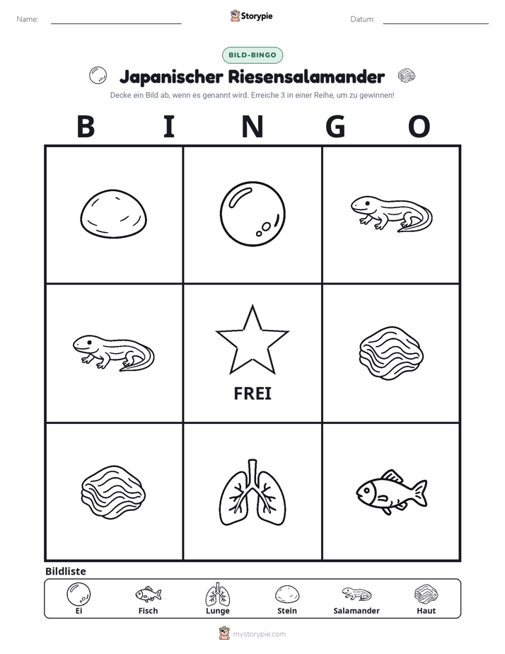 Bild-Bingo