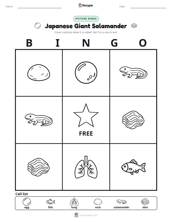 Picture Bingo