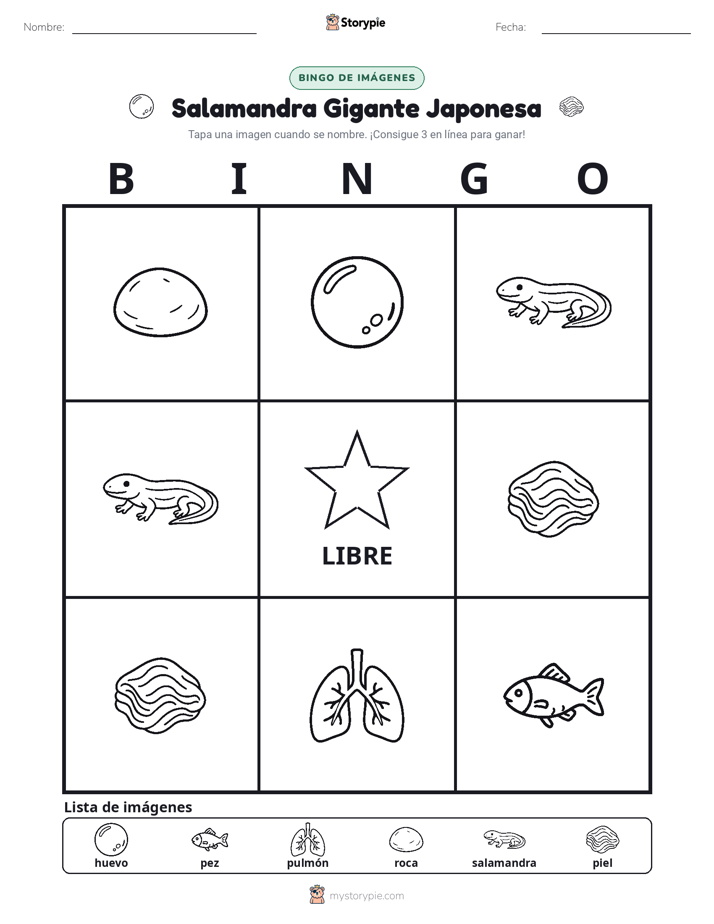 Bingo de Imágenes
