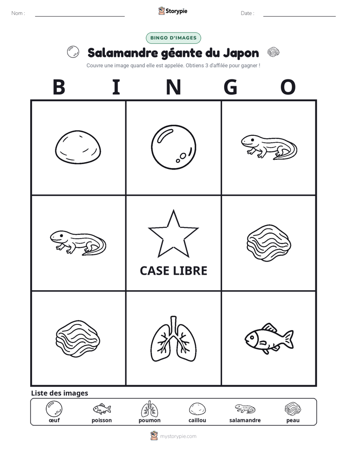 Bingo d'Images