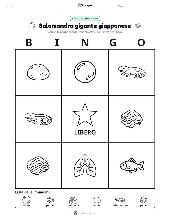 Bingo delle Immagini