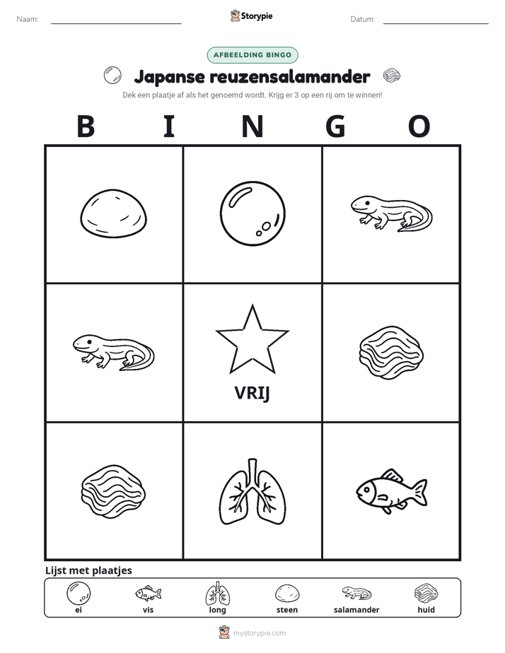 Afbeelding Bingo