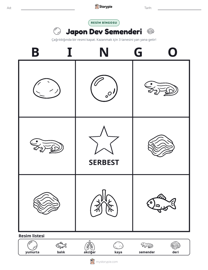 Resim Bingo