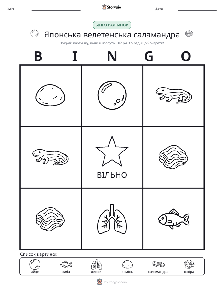 Бінго з Малюнками