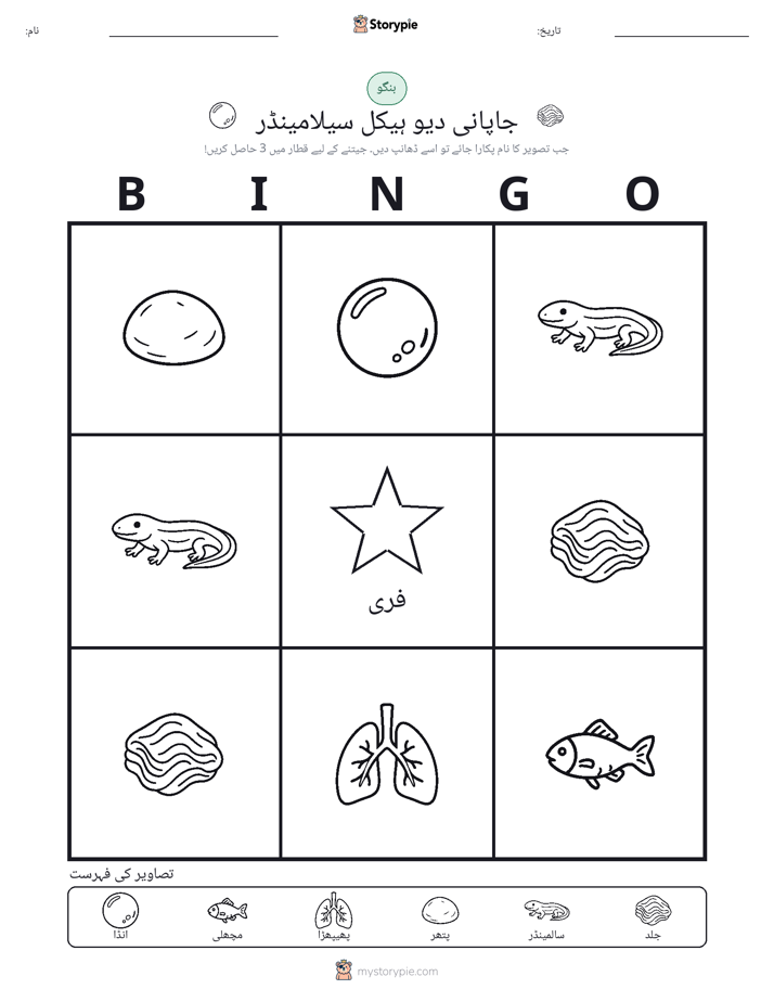 تصویری بنگو