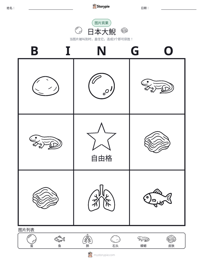 图片宾果