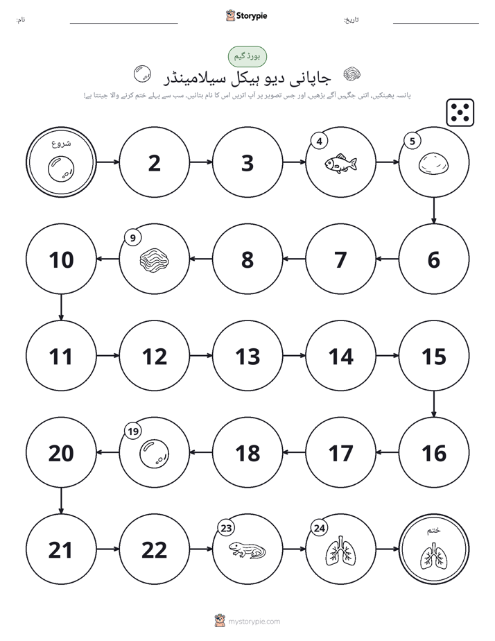 رول اور منتقل کریں کھیل