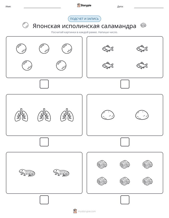 Считай и пиши