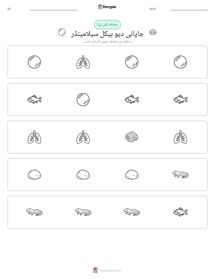 عجیب ایک