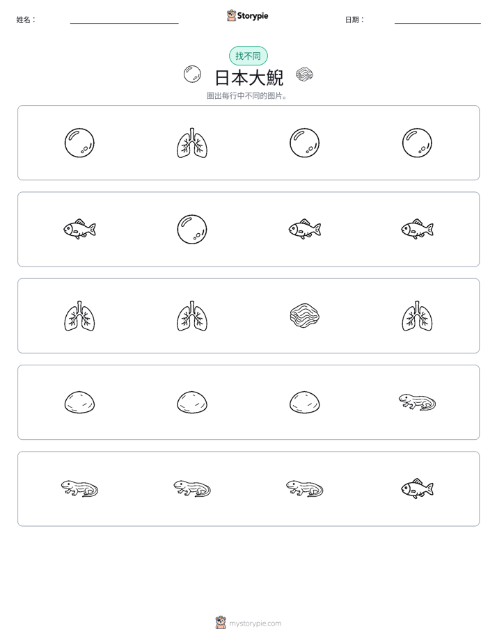找不同