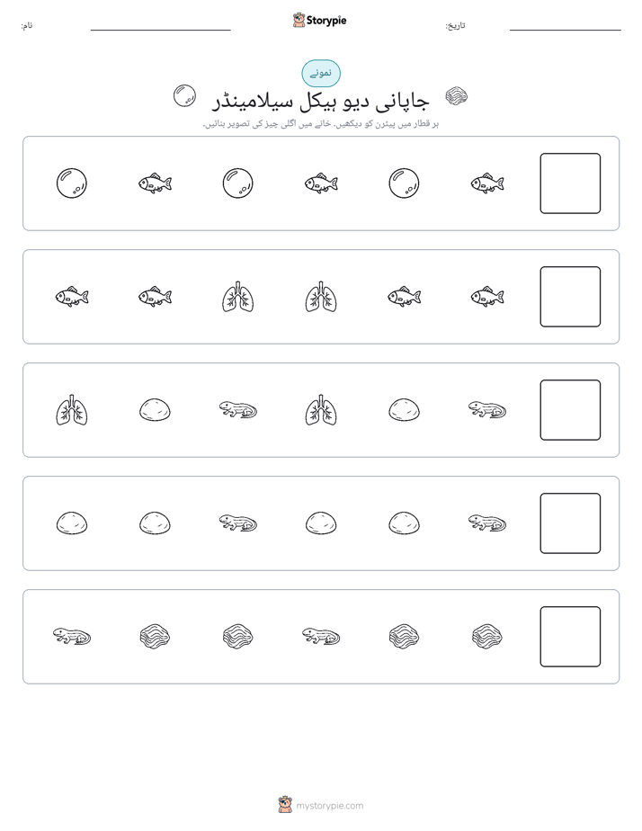 پیٹرن