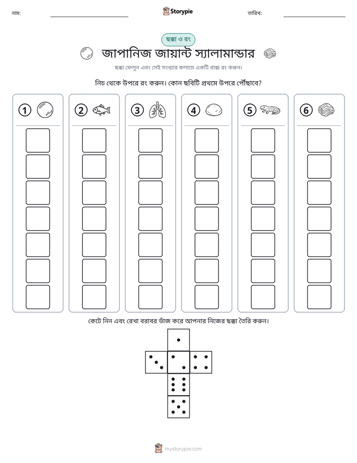 রোল & রঙ