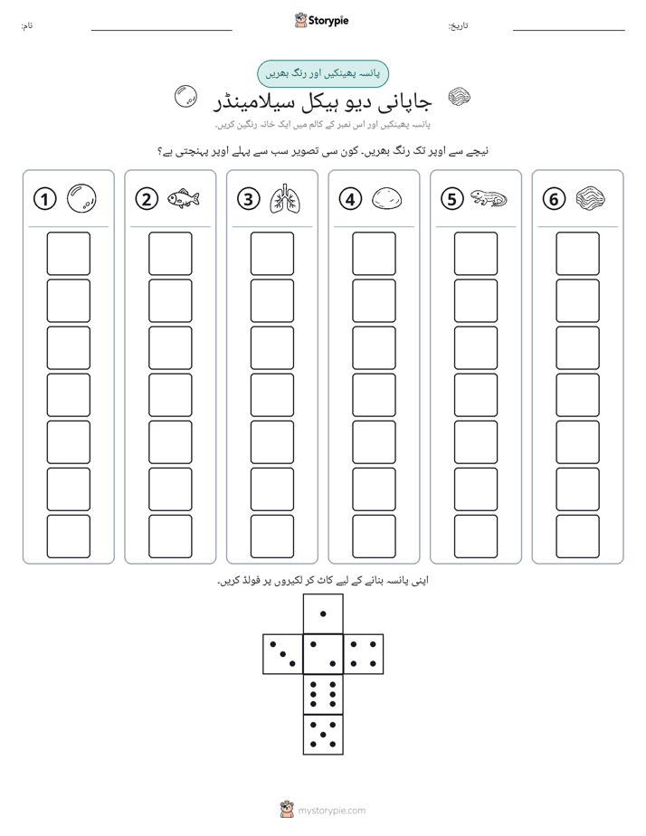 رول اور رنگ