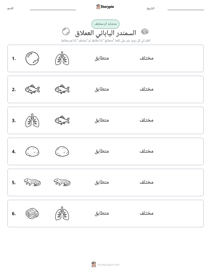 نفس أو مختلف