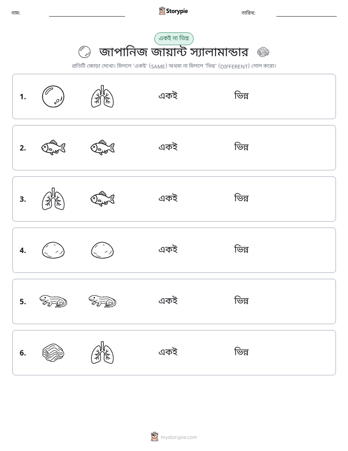 একই বা ভিন্ন