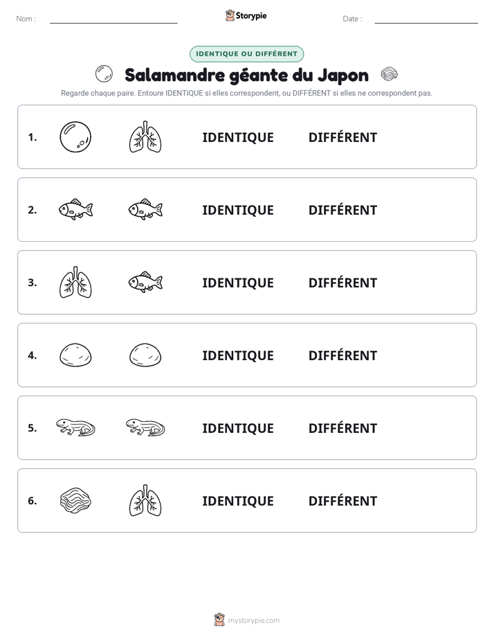 Identique ou Différent