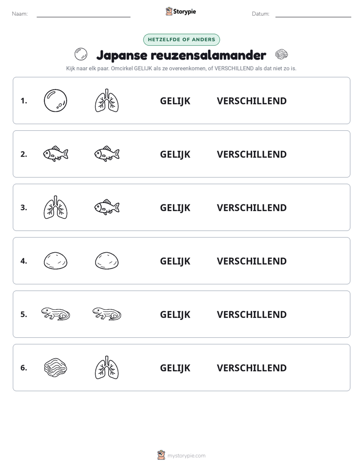 Zelfde of Verschillend