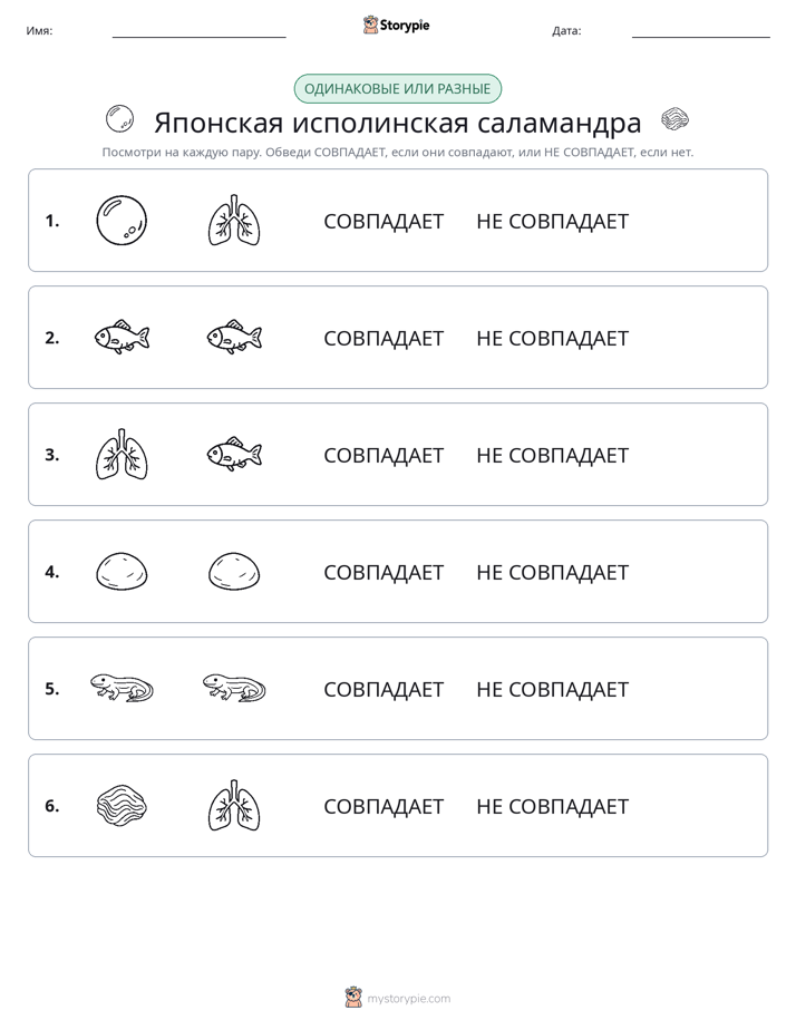 Одинаковое или разное