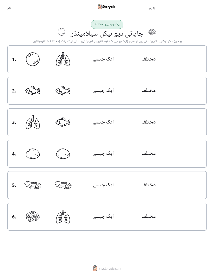 ایک جیسا یا مختلف