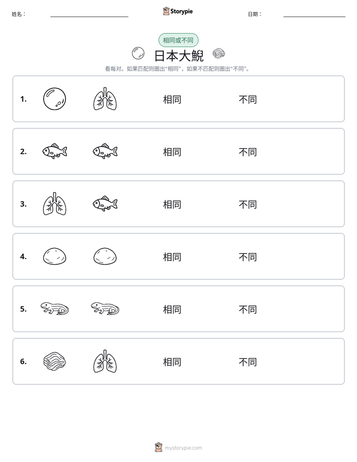 相同或不同