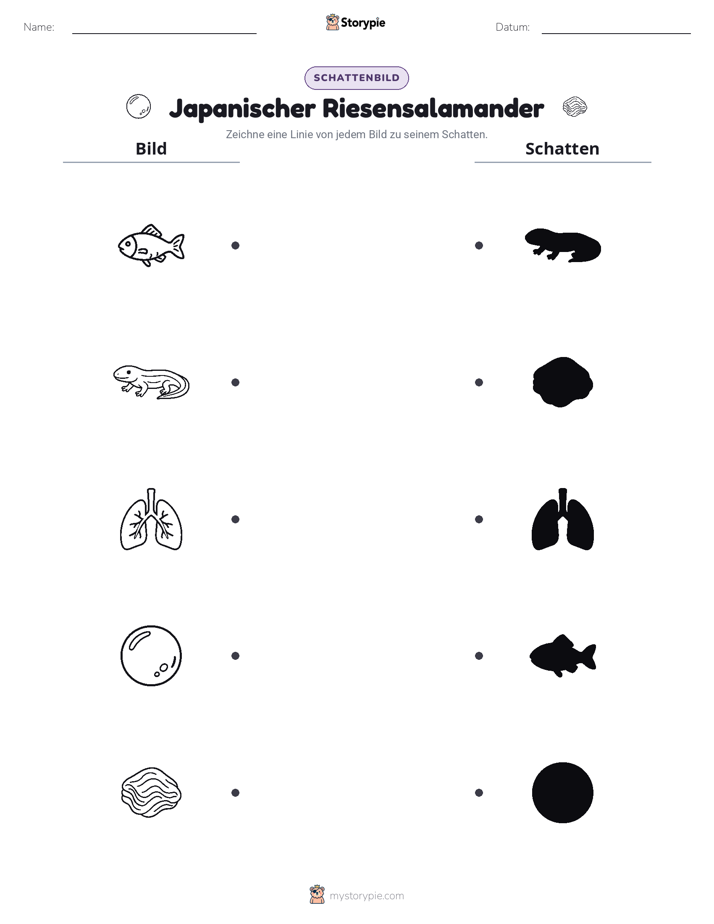 Schattenmatch