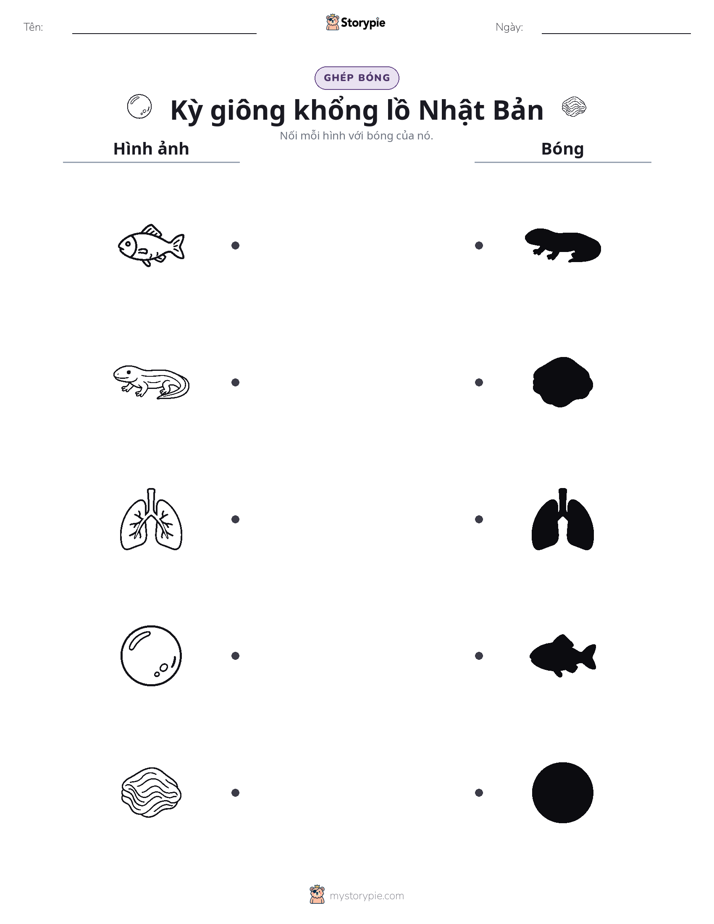 Ghép Hình Bóng
