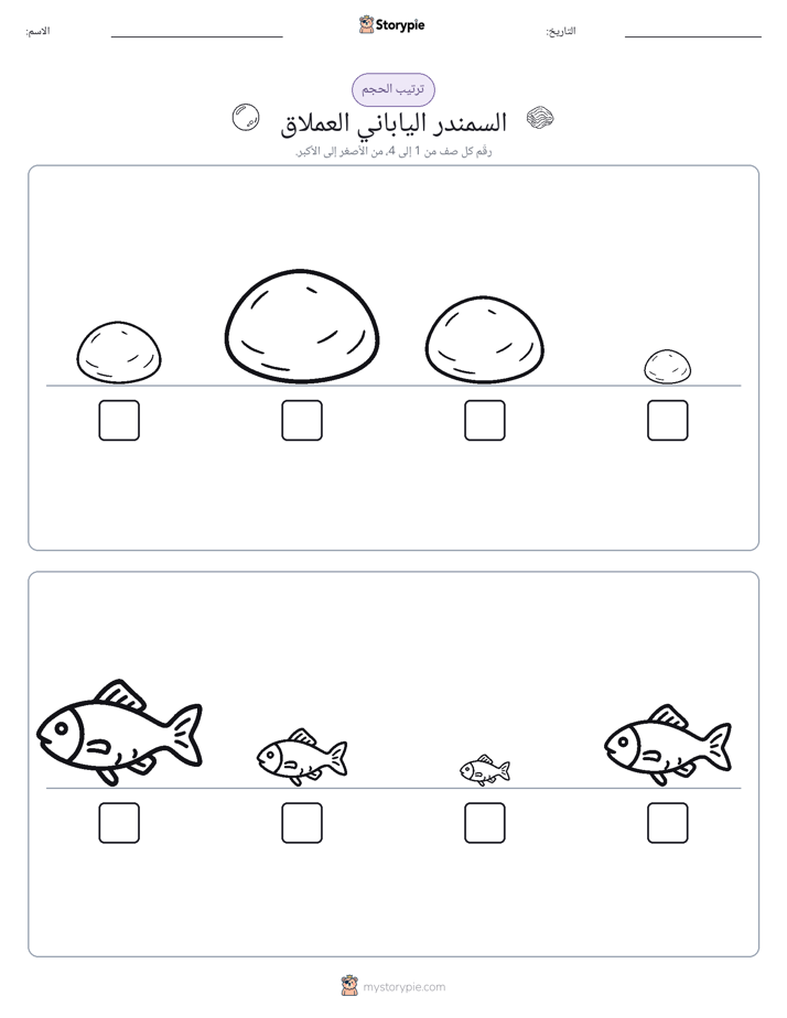 ترتيب الحجم