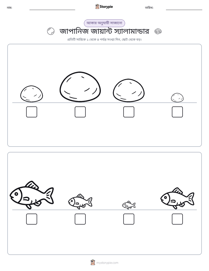 আকারের ক্রম