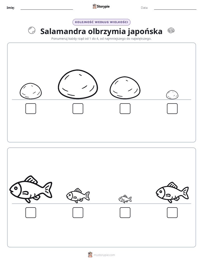 Porządek rozmiarów