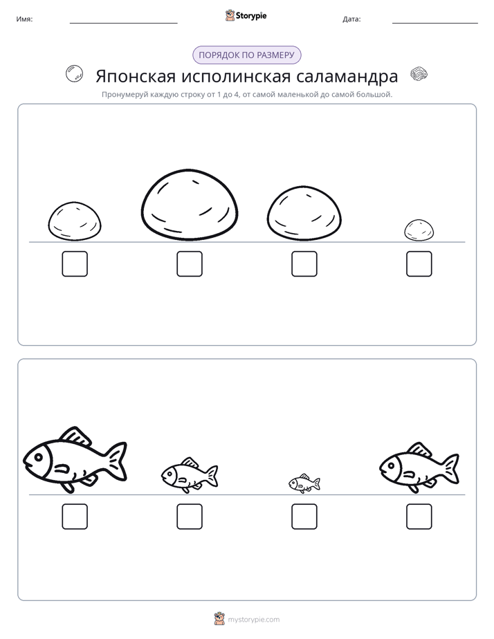 Размеры в порядке